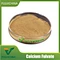 Calcium Fulvate